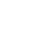 iconAsset 7ico